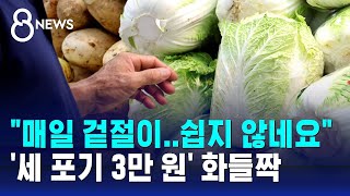 400톤씩 푸는데 왜 이래요?…'세 포기 3만 원' 화들짝 / SBS 8뉴스