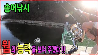 [초짜낚시] 이거 하나면 송어 싹쓸이 / Luer fishing