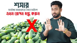 রমজান টার্গেট করে শসা চাষ করতে চান ? বীজ বোনার সেরা সময় জেনে নিন