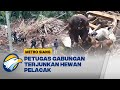 Hewan Pelacak Dikerahkan, Pencarian Warga Dampak Longsor di Cipongkor