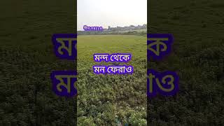 সৎ কর্ম