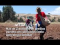 La Agricultura Familiar en el Perú - Importancia económica y social