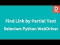 Python Selenium find link by partial link text