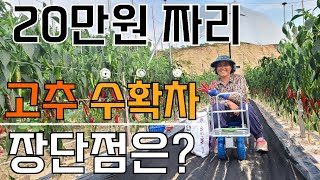 20만원짜리 고추수확차 과연 쓸만할까? - 고추재배 고추농사 Red pepper farming