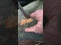 Breaking a 10,000 Years Old Gold Vein 😲💎#gold #rockhounding #gems #gemstones