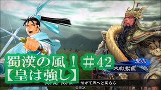 三国志大戦・蜀漢の風！＃42【皇は強し】人馬侠者の大徳