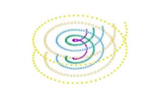Spiral 3D animation using gnuplot