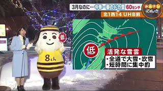 【北海道の天気 3/1(月)】活発な雪雲を抱える低気圧　今季一番の大雪に (21/03/01 18:50)