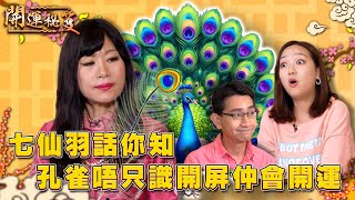 七仙羽話你知 孔雀唔只識開屏仲會開運 雲文子教你辦公室靠山佈局｜ 開運秘笈 ｜ EP14 ｜ 風水 ｜ 命理 ｜ 開運 ｜ HOY TV