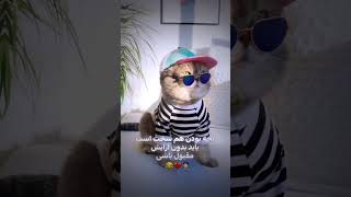 بچه بودن هم سخت است 🤦🏻💔😂 #funny #funnyshort #funnyvideo #subscribetomychannel #afghanistan #iran