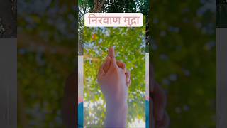 nirvana mudra #shivbhajansjukebox#mudratherapy#mudra#mudragraphy#fitness#health#youtubeshorts#viral