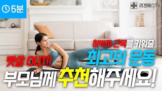 걷기 말고 이 하체 운동들을 5분만 하세요. 이것도 안하면 엉덩이, 허벅지 근육 싹다 빠집니다. 체력 기르는 운동 [40대 50대 60대 엉덩이 운동, 다리 운동]