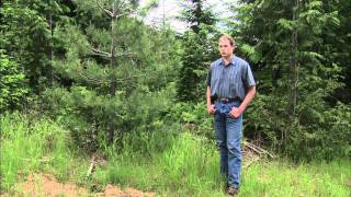 David Gabrielsen, Professional Forester in Idaho