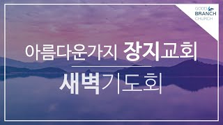 2024.04.16 새벽ㅣ막 10:35-45 섬김ㅣ홍승영 목사ㅣ아름다운가지 장지교회