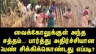 வைக்கோலுக்குள் அந்த சத்தம்... பார்த்து அதிர்ச்சியான பெண் சிக்கிக்கொண்டது எப்படி?