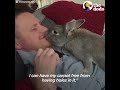 amazing rabbit changes man s mind about animals chief brody the dodo happy father s day