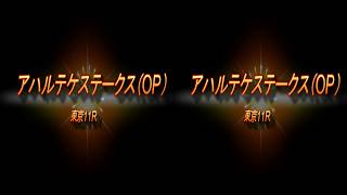 アハルテケステークス（OP）　予想馬柱