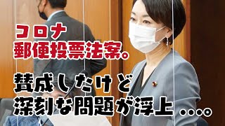 コロナ郵便投票法案。賛成したけど深刻な問題が浮上...。【2021年6月7日　政治倫理の確立及び公職選挙法改正に関する特別委員会】