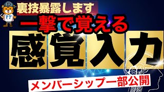 【裏技暴露します】感覚入力と姿勢制御の基礎を覚えるには…