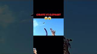 #wildlife #animals #giraffe #viralvideo #shortsviral #elephant