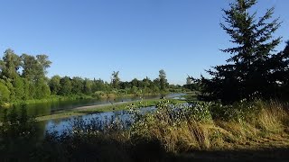 Willamette Park, Corvallis Oregon, August 15, 2022