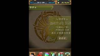 パズドラ アンケートゴットフェス引いてみた