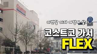 코스트코 가서 두달 생활비 쓰기 (이제 라면만 먹고 살아야지)