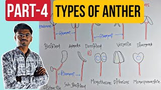 Anther Types | Types Of Fixation Of Anthers | PART-4