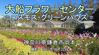 大船フラワーセンター = コスモス・グリーンハウス = [4K] Ofuna Flower Center = Cosmos and Green house =