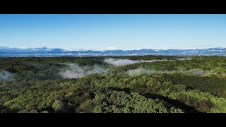 所沢市の緑地紹介映像