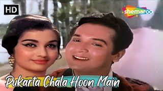 Pukarta Chala Hoon Main | Asha Parekh, Biswajit | Mohd Rafi Hit Songs | Mere Sanam Hit Songs