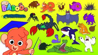 Animal ABC | Learn the alphabet with SCARY ANIMALS for children | abcd videos for kids A to Z esl