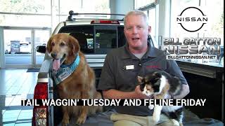 BGN-TAIL_WAGGIN_AND_FELINE_FRIDAY_COMBO-10