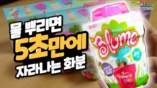 5초만에 자라나는 신기한 랜덤피규어 블룸돌즈를 8개 개봉해보았습니다 | 소소일상 SOSO1SANG