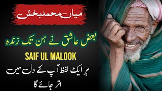 Baaz Ashiq Ne Hun Tak Zinda | Kalam Mian Muhammad Bakhsh | Sufi Punjabi Kalam Saif ul Malook 2023
