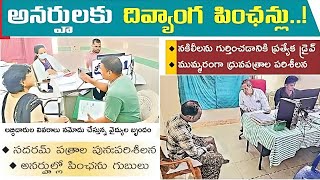 NTR Bharosa Pension Verification Latest News I దివ్యంగుల పింఛన్ తనిఖీ జిల్లాల వారి వివరాలు