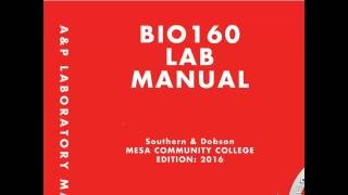 Lab Video Exercise 4 and 5 - Tissues and Skin