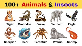 Animals \u0026 Insects Name in English | 100+ Animals Name In English for Kids