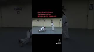 豪州流合気柔術道場 森道治師範八段 Goshu-Ryu Aiki Jujutsu Dojo 塩田剛三 最後の内弟子が独立をして新たな流派を立ち上げた。