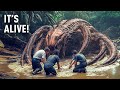 Explorers Capture the Deadliest Monsters of the Amazon River on Camera – You Won't Believe This!