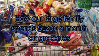 How our family spends $1200 a month grocery shopping!!!!