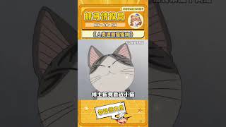 人类遇到了心软的猫猫神！ #山神 #猫猫 #可爱 #心软#shorts