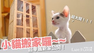 小貓搬家！超大豪華貓屋大公開！【好味貓日常】EP8