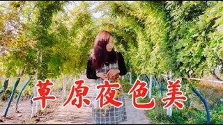 草原一枝花降央卓玛演唱一首《草原夜色美》，醉了无数人，太美了