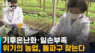 기후온난화 · 일손부족…위기의 농업, 돌파구 찾는다 / SBS