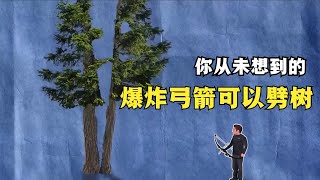 流言终结者 -挑战用弓箭可以将树劈成两半？【小石头科普解说】