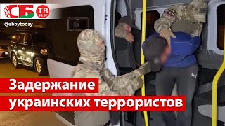 Задержан агент СБУ и его сообщники, планировавшие нападение на власти Херсонской области и Крыма