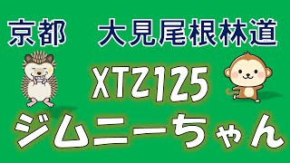 京都大見尾根林道、廃車軽トラ外回り下り編