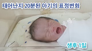 (생후 1일) 신생아의 다양한 표정 변화 (태어난지 20분)