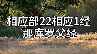 222.相应部22相应1经 那库罗父经（白话佛经）解说